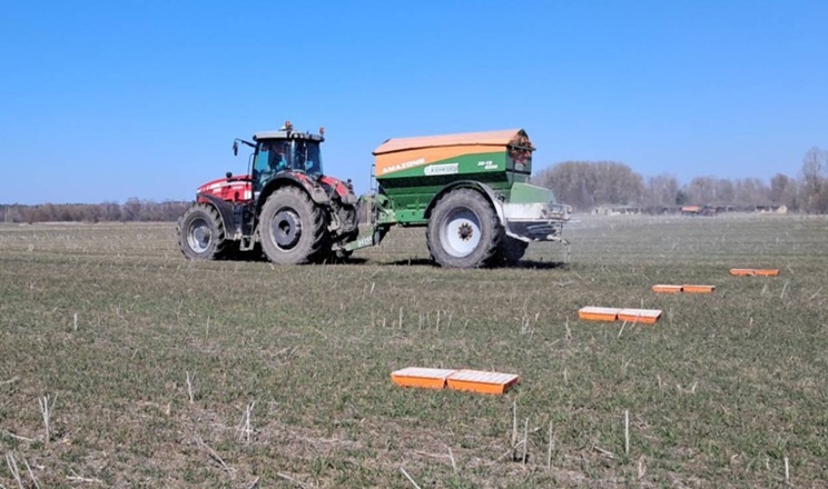 Озимі в «Агро-Регіон» відновлюють вегетацію: триває підживлення посівів