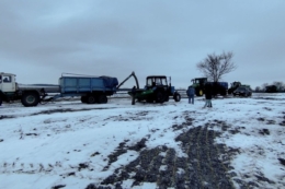 Стан 99% посівів озимих у господарстві «Агро-Рось» – у межах норми