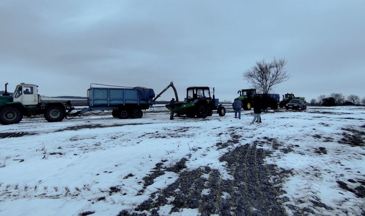 Стан 99% посівів озимих у господарстві «Агро-Рось» – у межах норми