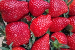 Грецька полуниця вже на полицях по 500–600 грн/кг, українську чекають у квітні