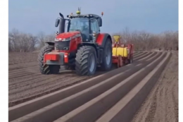 «Контінентал Фармерз Груп» розпочала посадку картоплі на Львівщині