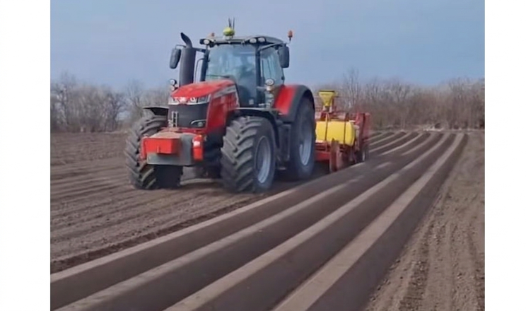 «Контінентал Фармерз Груп» розпочала посадку картоплі на Львівщині