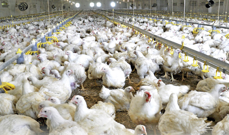 Здоров’я кишківника