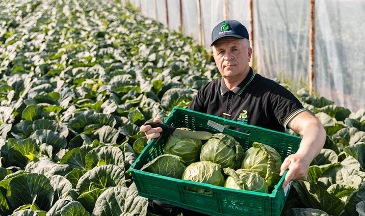 «Рійк Цваан Україна» запускає безкоштовний E‑Learning курс із технології вирощування ранньої капусти