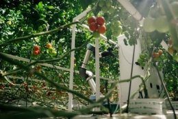 Німецький стартап Eternal AG представив автономного робота для збору врожаю