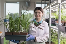 Що провокує дефіцити елементів живлення сільгоспкультур, – дослідження