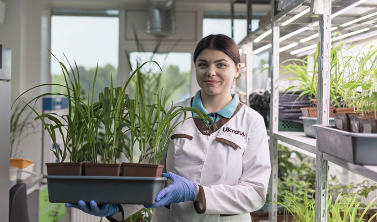 Що провокує дефіцити елементів живлення сільгоспкультур, – дослідження