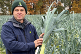 Спеціаліст назвав три перспективних гібрида цибулі-порея