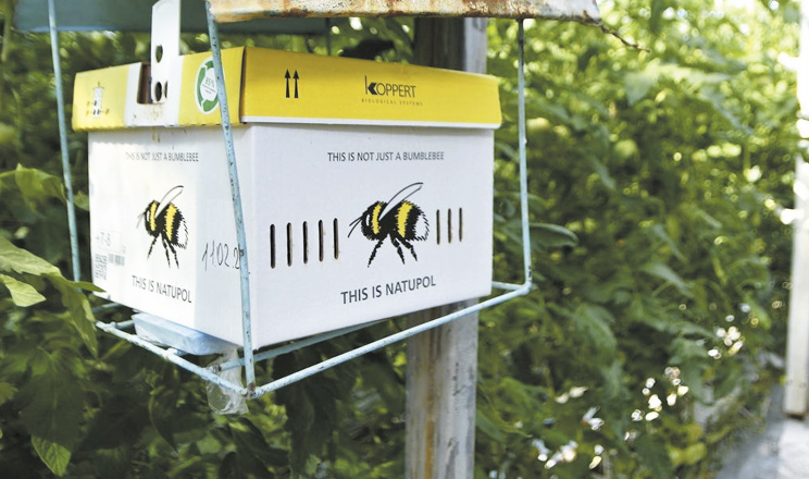 Центр керування польотами