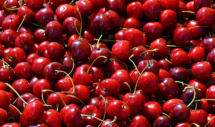 Весна близько