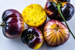 У Каліфорнії назвали томат року&nbsp;