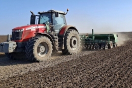 Три господарства Tekom Agro Group завершили сівбу сочевиці: площі зібльшили втричі