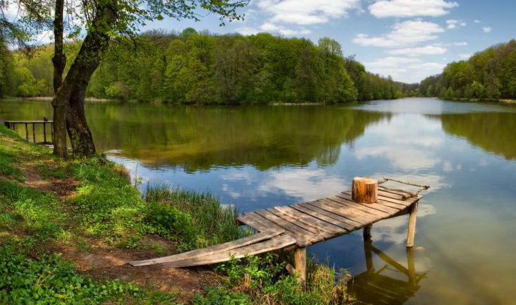 Держрибагентство анонсувало публічну карту зі станом водних об'єктів