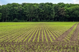 AMAZONE презентує систему EasyTram для точного планування технологічних колій