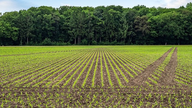 AMAZONE презентує систему EasyTram для точного планування технологічних колій