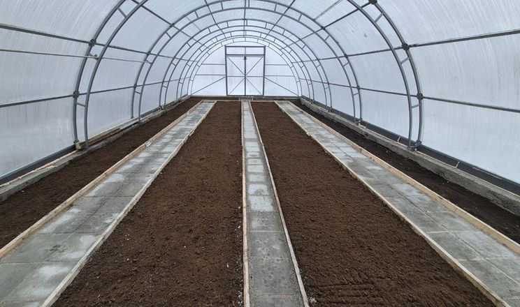 На Кіровоградщині в притулку для переселенців збудували теплицю