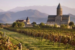У Грузії висадку комерційних виноградників дозволять лише за дозволом держави