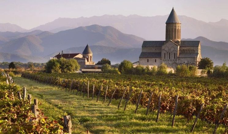 У Грузії висадку комерційних виноградників дозволять лише за дозволом держави
