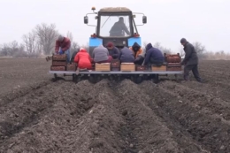 Через руйнування ГЕС фермери правобережної Херсонщини переходять на овочі