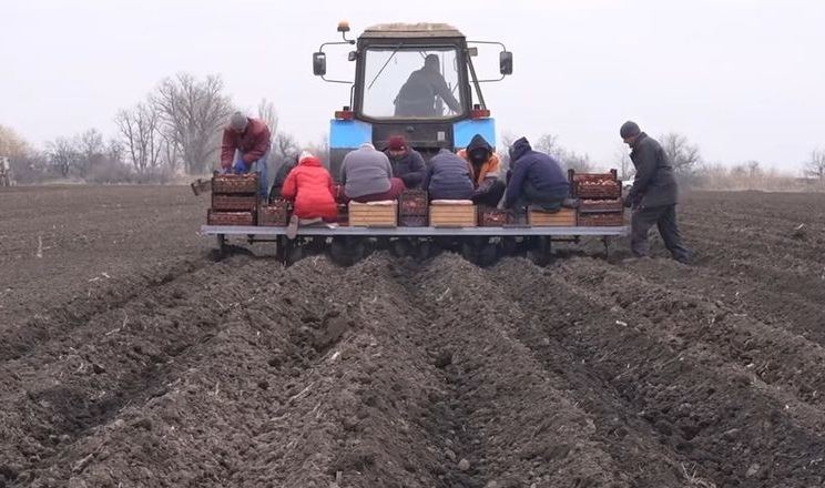 Через руйнування ГЕС фермери правобережної Херсонщини переходять на овочі