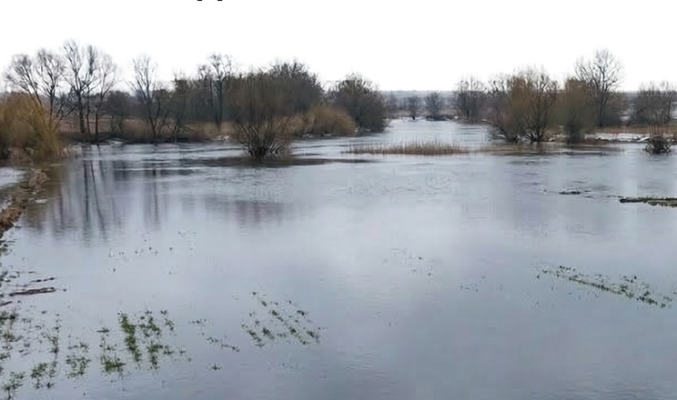Чому частина посівів озимини цього року опинилися під водою – пояснюють екоактивісти