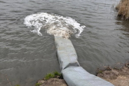 До водойм Миколаївщини та Харківщини випустили понад 500 тис. екземплярів риби