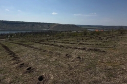 Виноградар заклав перший екологічний виноградник на Хмельниччині
