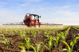 Новий ад'ювант підвищує ефетивність гербіцидного контролю