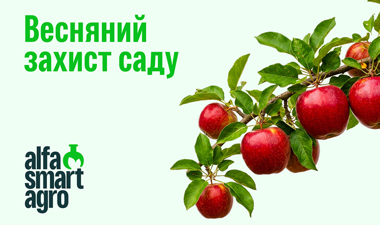 Весняний захист саду цьогоріч має свої особливості