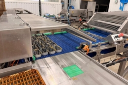 Португальський завод використовує у виробництві рибних консервів українську олію