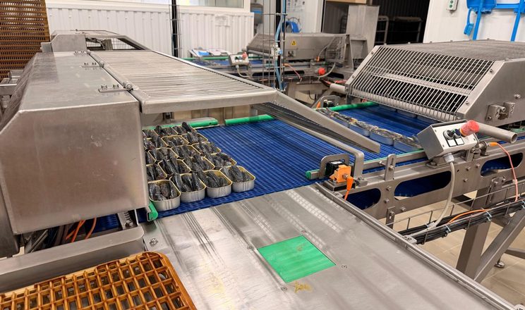 Португальський завод використовує у виробництві рибних консервів українську олію