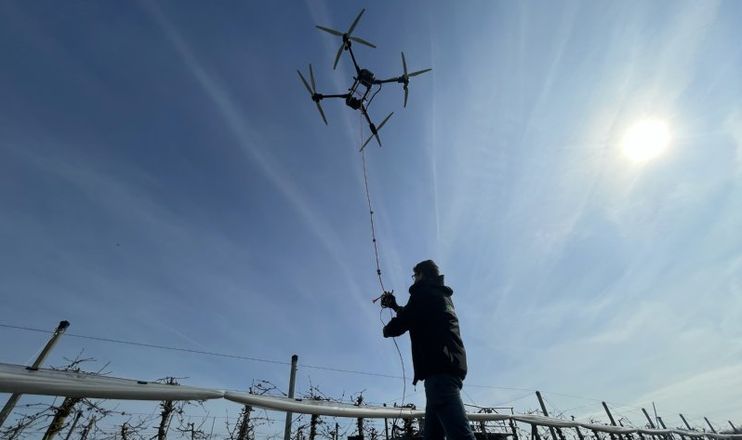 Дрон проклав сталеві троси над садом