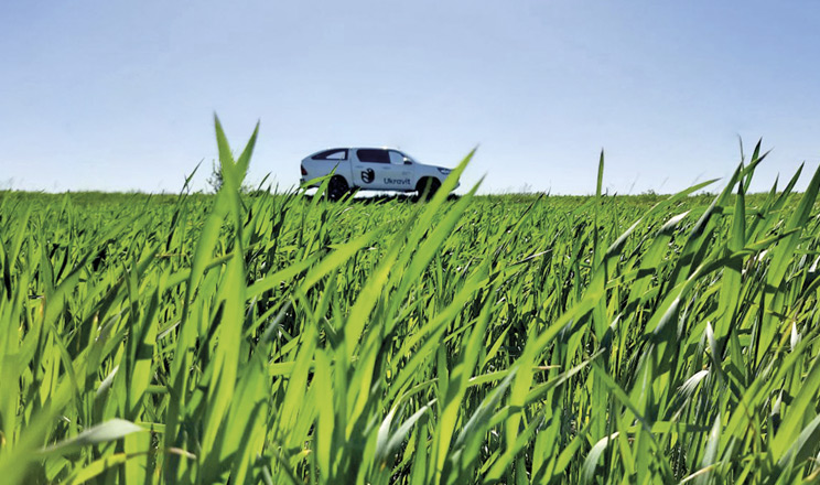 Ґрунт: звичний і незнайомий