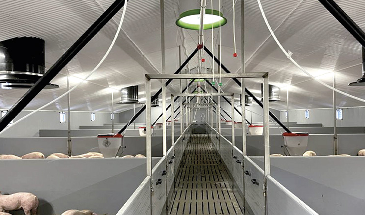 Інженерія мікроклімату