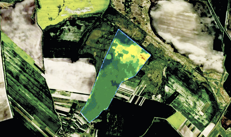 Драйвер маржинальності