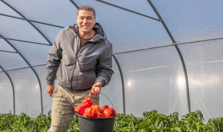 Підприємець із Донеччини відновив агробізнес у Дніпропетровській області