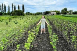 Ветеран розвиває фундукову ферму на Житомирщині