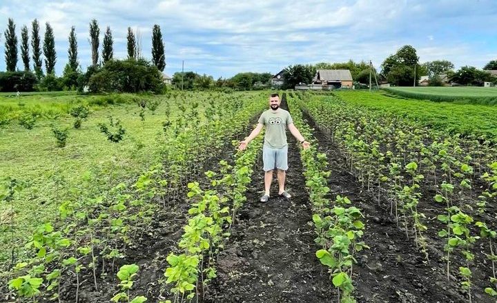 Ветеран розвиває фундукову ферму на Житомирщині