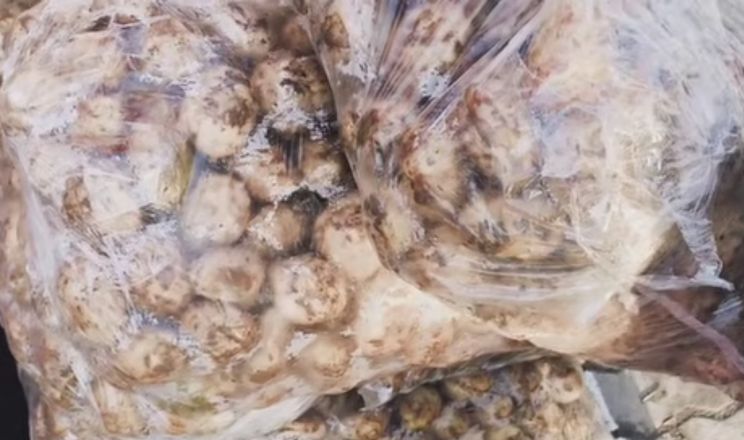 На «Шуварі» з’явилася українська молода картопля по 150 грн/кг