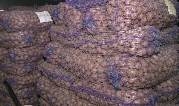 Волинський фермер роздав ветеранам і сім’ям військових 30 тонн насіннєвої картоплі