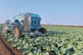 Кooiman Mechanisatie розпочав поставки розумного просапника Farming GT