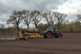 Кукурудза третій рік поспіль лишається ключовою культурою для «НІБУЛОН»