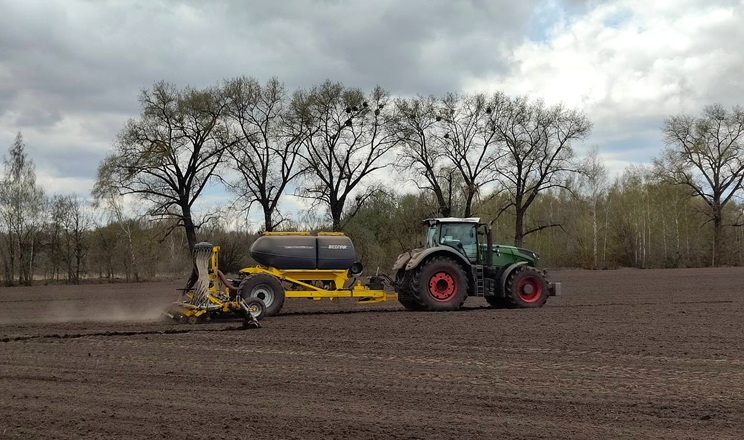 Кукурудза третій рік поспіль лишається ключовою культурою для «НІБУЛОН»