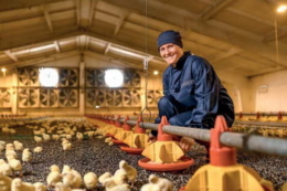 МХП розпочала розвиток внутрішньої Академії зоотехнії