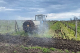 В Інституті Таїрова розпочали захист виноградників від хвороб