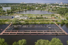 Промислові технології вирощування осетрів: плюси й мінуси