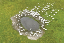 «Ратнівський аграрій» забезпечив свої пасовища водопостачанням й електропастухами