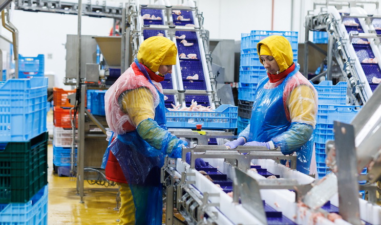 Експертка окреслила майбутнє птахівничої галузі