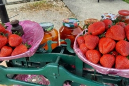 На Закарпатті вже продають місцеву полуницю за рекордною ціною