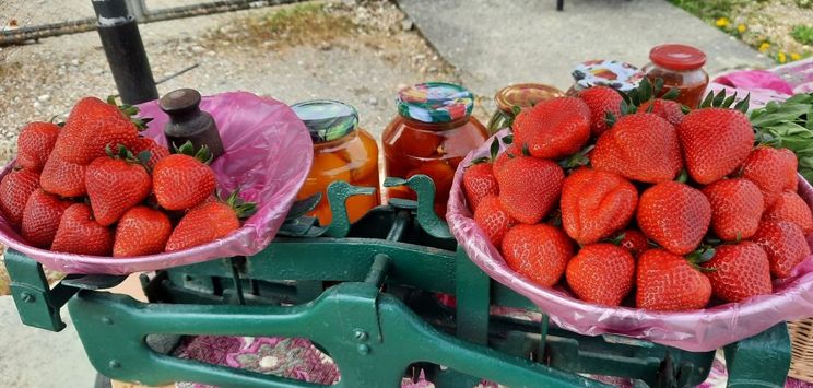 На Закарпатті вже продають місцеву полуницю за рекордною ціною